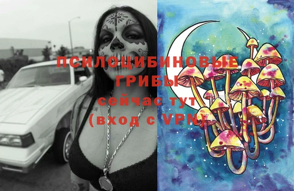 индика Медногорск