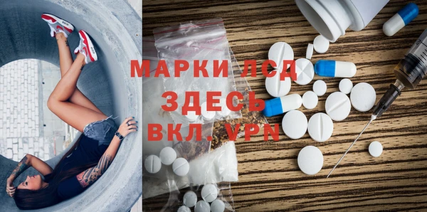 индика Медногорск