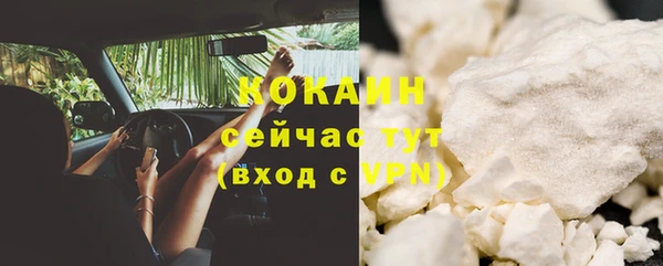 индика Медногорск