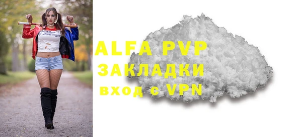 индика Медногорск