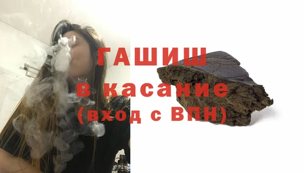 индика Медногорск
