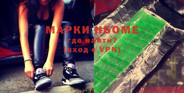 индика Медногорск