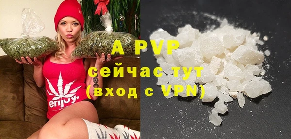 индика Медногорск