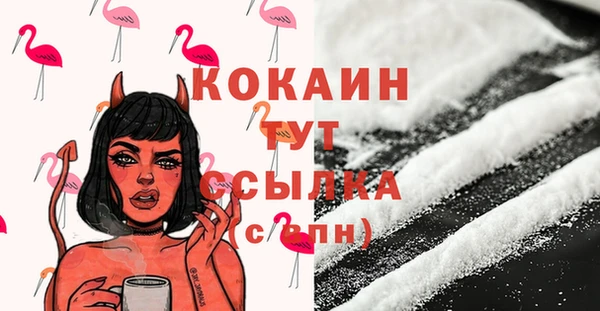 индика Медногорск