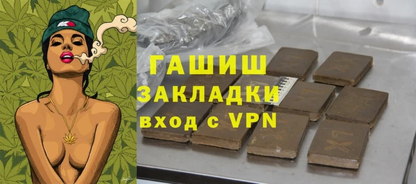 индика Медногорск