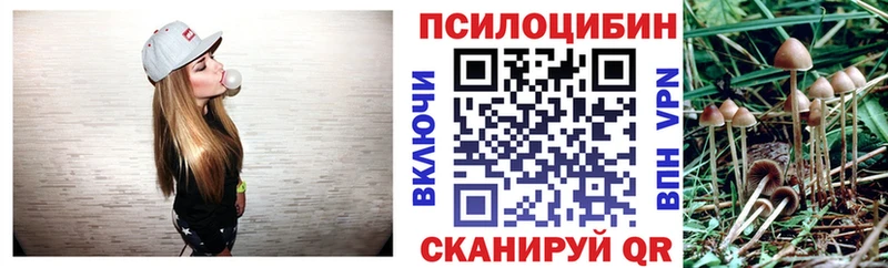 мориарти Telegram  mega ONION  Псилоцибиновые грибы прущие грибы  Звенигород  сколько стоит 