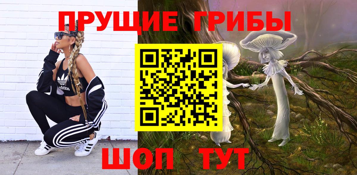 Псилоцибиновые грибы ЛСД Звенигород