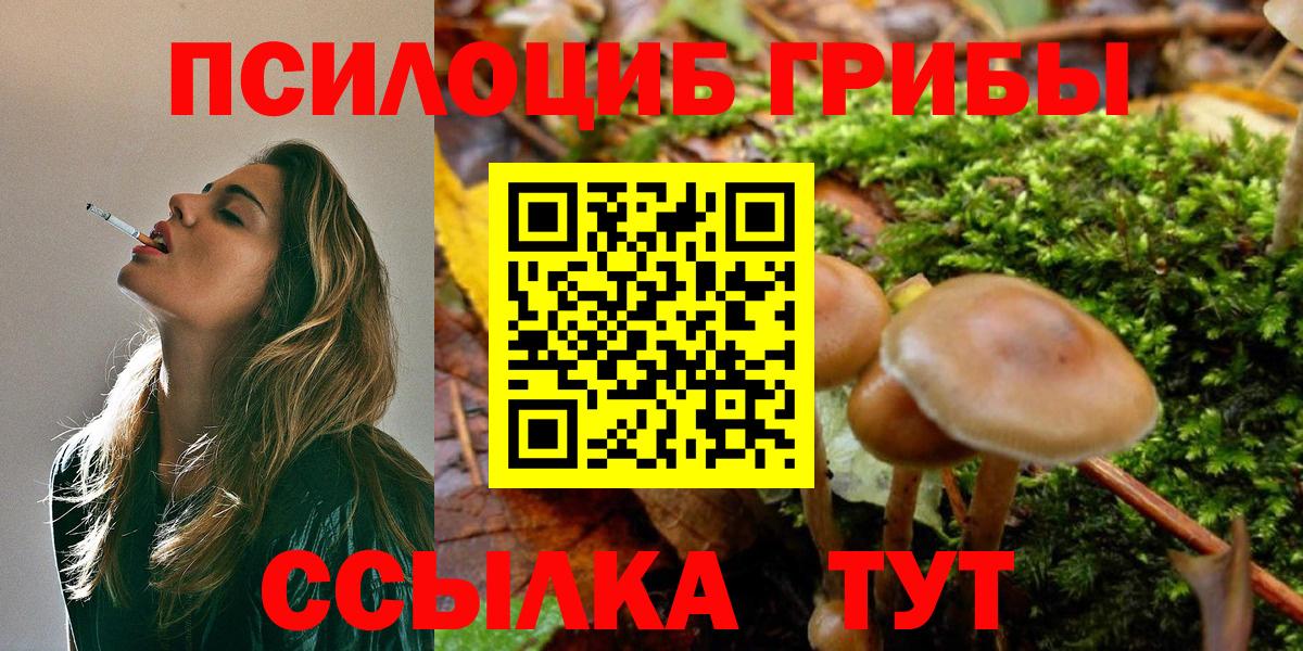 Псилоцибиновые грибы Psilocybine cubensis Звенигород