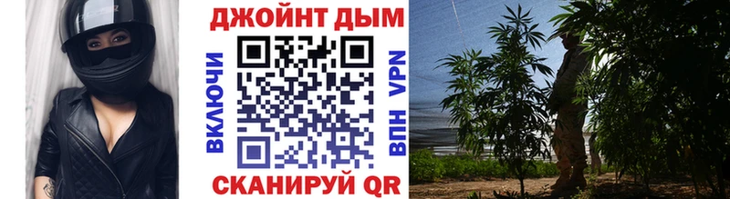 Бошки марихуана Amnesia  Звенигород 